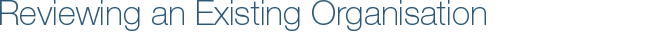 Reviewing an Existing Organisation